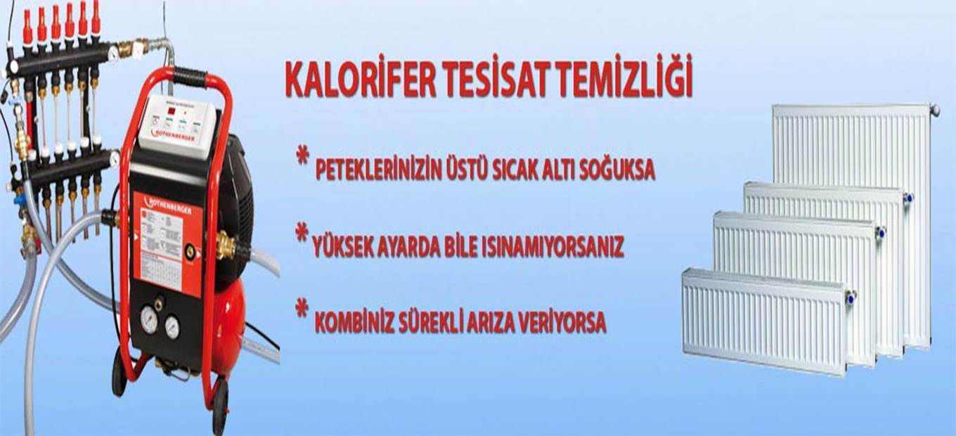 ankara-petek-temizliği